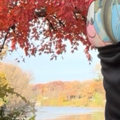 chicagosagger's profile picture