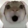 Profilbild von fish