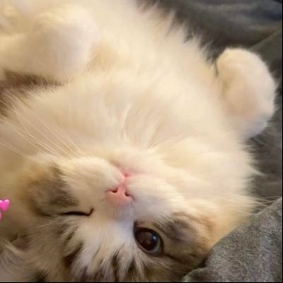knxrx's profile picture