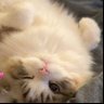 naru profil fotoğrafı