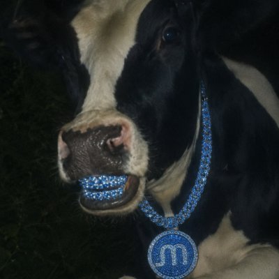 memorycowmoo's profile picture