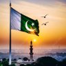 پاکستان زندہ باد 的头像