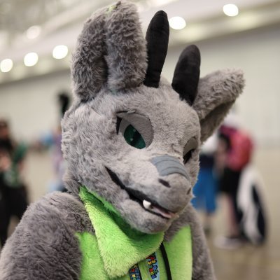 Iggy! 🔜 Furpoc's profile picture