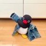 Luis Asencio's profile picture