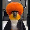 gamer dream's profile picture