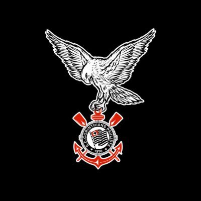 GAVIÕES DA FIEL's profile picture