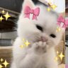 Profilbild von Nesibe Turan💖