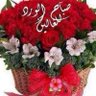 Фото профиля حمود الشعلان