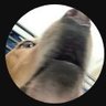 Profilbild von ItsAgroYa