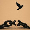 FREEDOM 🕊️ 的头像