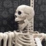 SUNGYE's profile picture