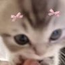 Cipher's profile picture