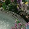 ice_ 的头像