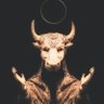 أليكس's profile picture