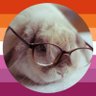 quinn profil fotoğrafı