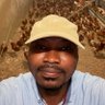 Usman Zannah's profile picture