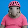 Paully ;))'s profile picture
