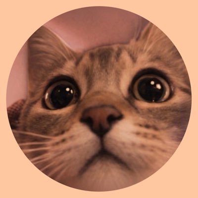 bloomjpg's profile picture