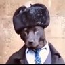Tartin 🇫🇷 profil fotoğrafı