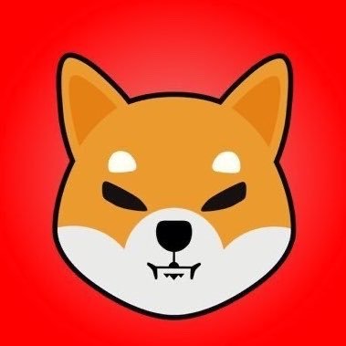 Shib's profile picture