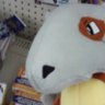 Profilbild von Cubone
