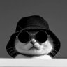 Profilbild von See Me