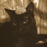 Queen's profile picture