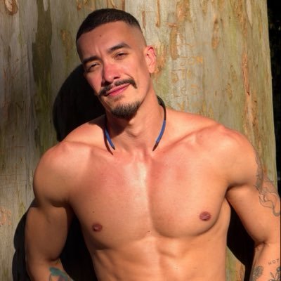 Wallace 🇧🇷's profile picture