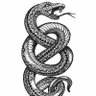 Mundus's profile picture