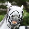 HIRO。's profile picture