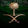 🇸🇦's profile picture