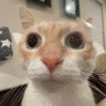 m's profile picture
