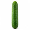 Warm Cucumber 的头像