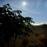 mohammd88-7 profil fotoğrafı