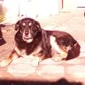 Profilbild von CARLOS