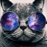 Farkas Lóránt's profile picture