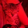 JP profil fotoğrafı