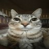 Peter Abi's profile picture