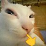 lau's profile picture