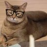 Фото профиля Catty💜B
