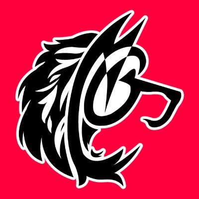 Namy G - OPEN COMMS's profile picture