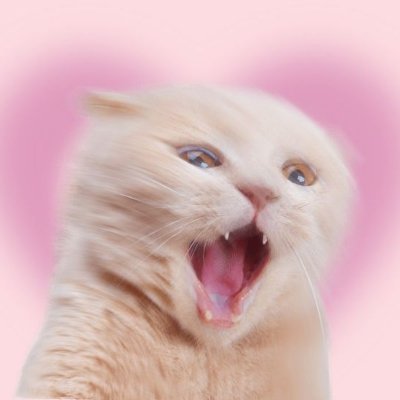 pjungnim's profile picture
