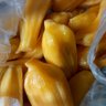 yan 的头像