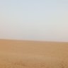 Фото профиля الرية البيضاء