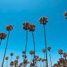 Фото профиля Mike Smith
