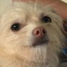 Sonny “bob” Barker's profile picture