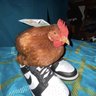 Yasser profil fotoğrafı