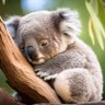 zzz💤's profile picture