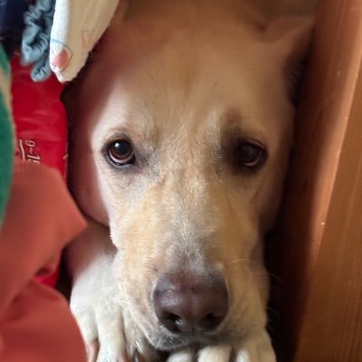 eru0902's profile picture