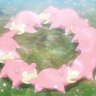 Punished Slowpoke Circlejerk's profile picture